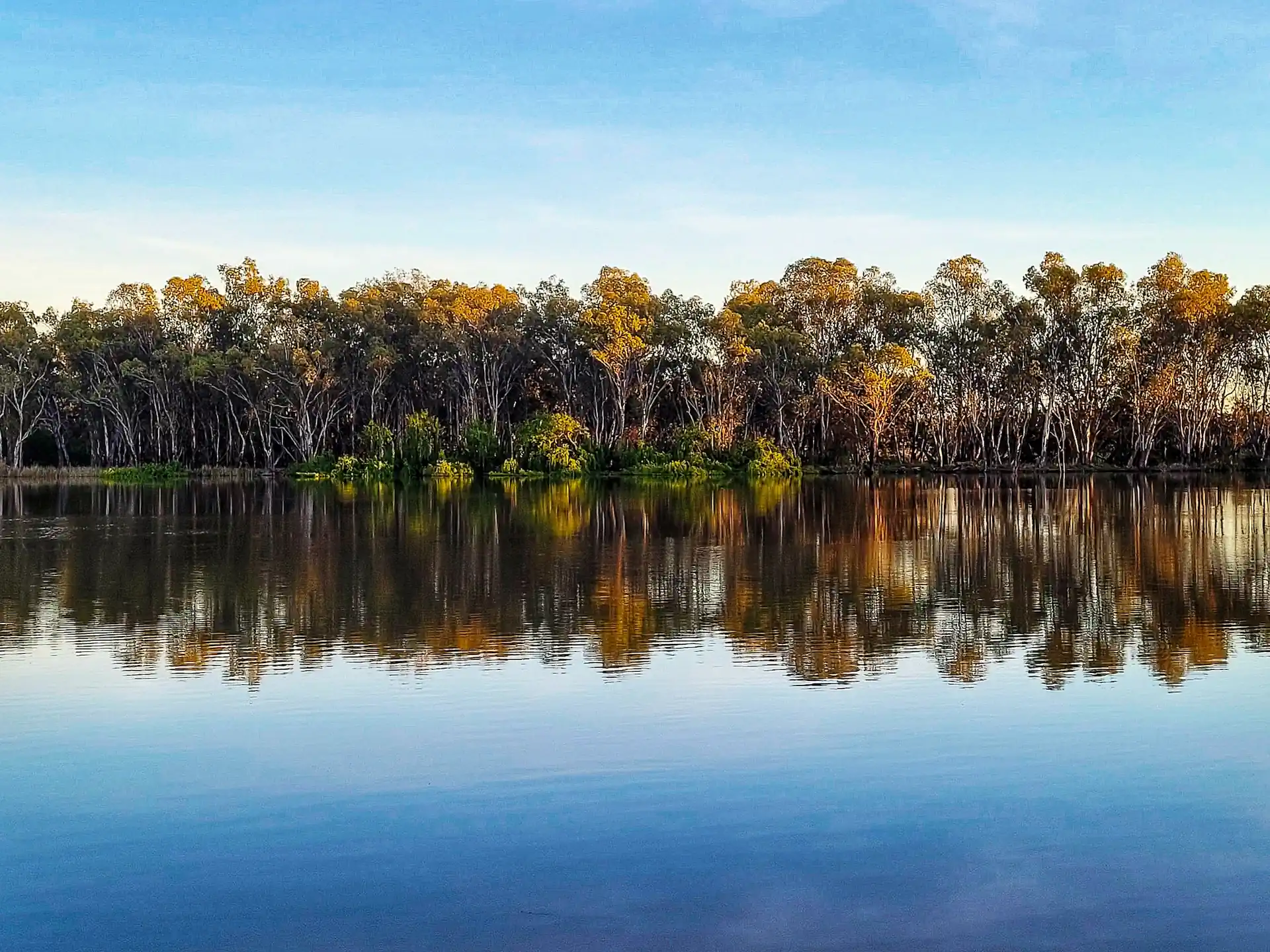 Still lake water with soft ripples and tree reflections